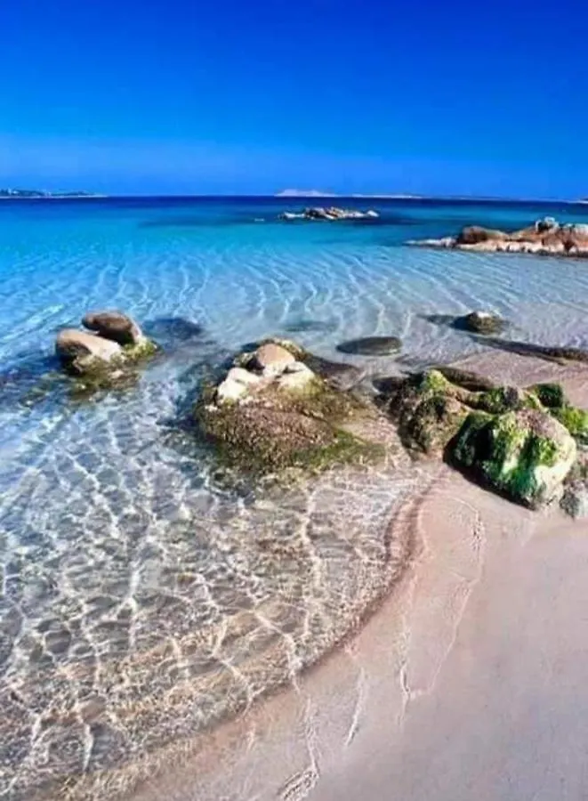 Suite Antonio Cagliari